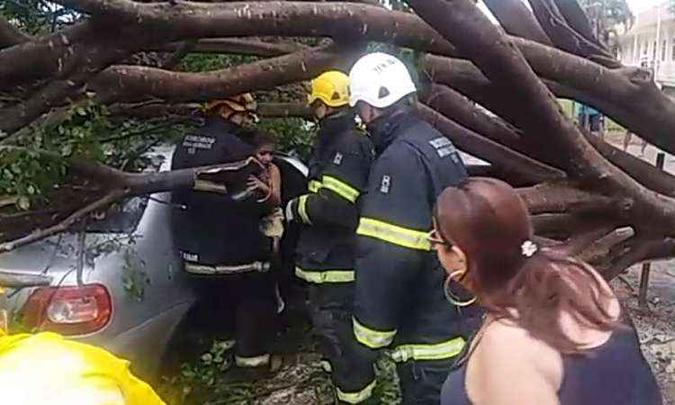 Crianças estavam na parte de trás do carro que ficou prensado por árvore Crianças estavam na parte de trás do carro que ficou prensado por árvore