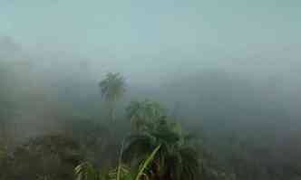 MG-030, na regio de Nova Lima, teve neblina espessa pela manh(foto: Ana Letcia Nunes/Divulgao)