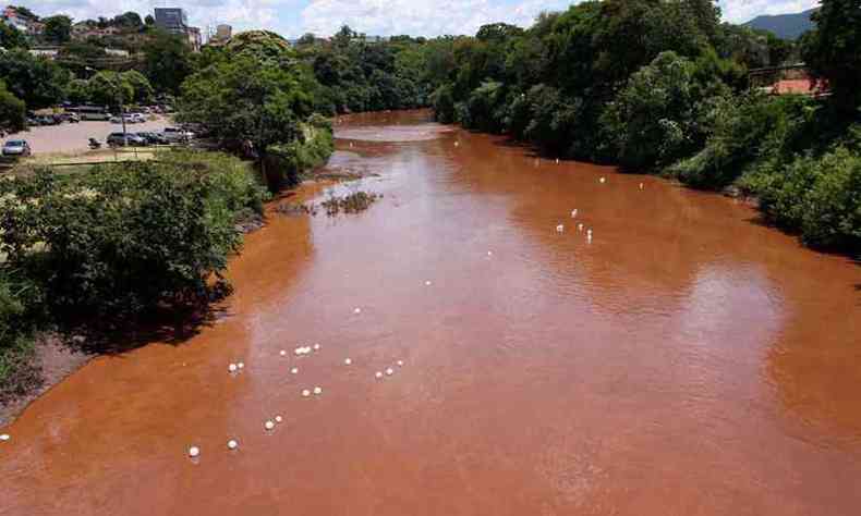 Rompimento da Barragem da Mina Crrego do Feijo afetou o manancial, segundo relatrio da ONG(foto: Edsio ferreira/EM/DA Press)