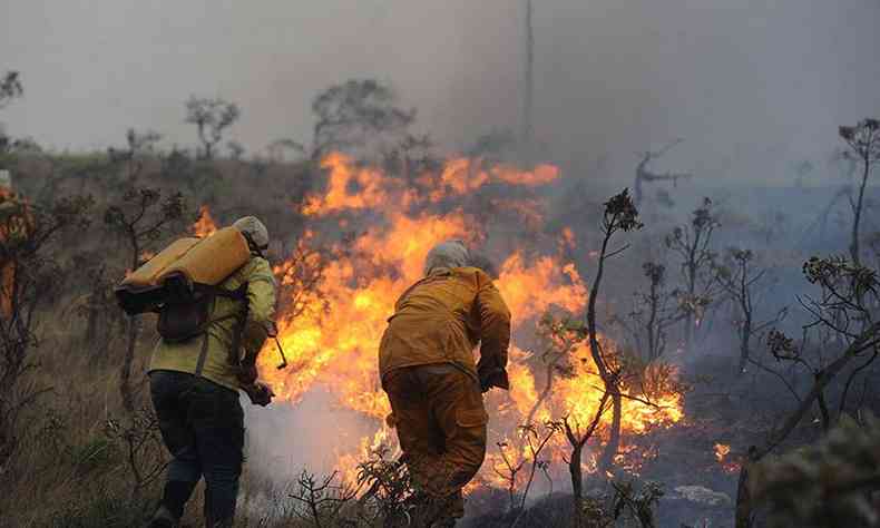 Brigadistas lutam contra as chamas durante incndio na Serra do Cip, no ano passado, quando foram responsveis por 20% das aes de combate no estado (foto: Leandro Couri/EM/D.A Press - 09/10/2020)