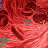 Septicemia: doença que mais mata no mundo volta aos holofotes