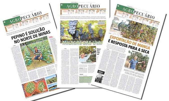 As reportagens foram publicadas pela Editoria de Economia/Agropecuária, no período de 15 de maio a 11 de setembro de 2017 (foto: Reprodução) As reportagens foram publicadas pela Editoria de Economia/Agropecuária, no período de 15 de maio a 11 de setembro de 2017 (foto: Reprodução)