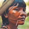 Indígenas demarcam o seu território em séries e filmes brasileiros