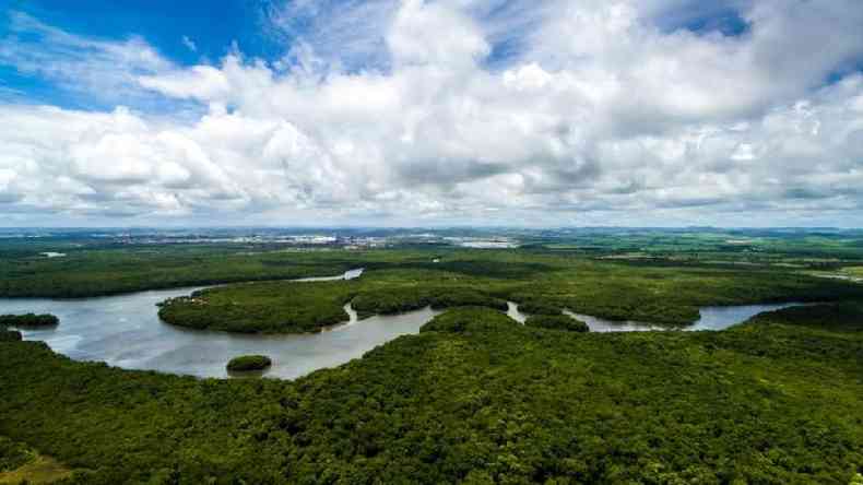 A Floresta Amaznica  questo central no debate ecolgico internacional