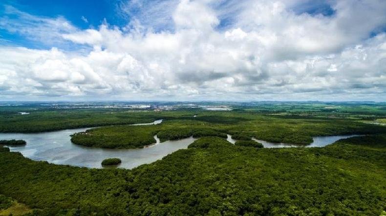 A Floresta Amazônica é questão central no debate ecológico internacional(foto: Getty Images) A Floresta Amazônica é questão central no debate ecológico internacional