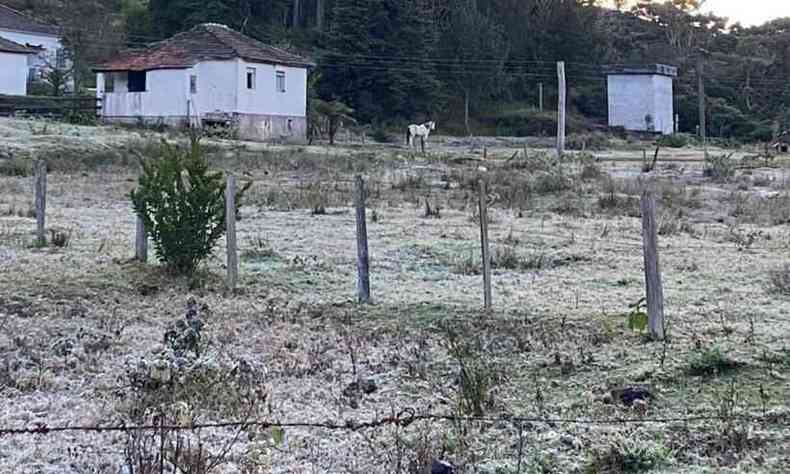 Monte Verde distrito de Camanducaia no Sul de Minas, caiu geada nesta madrugada por causa da temperatura abaixo de zero e congelou a plantao(foto: Nelson Pacheco e Rebeca Wagner/Divulgao)
