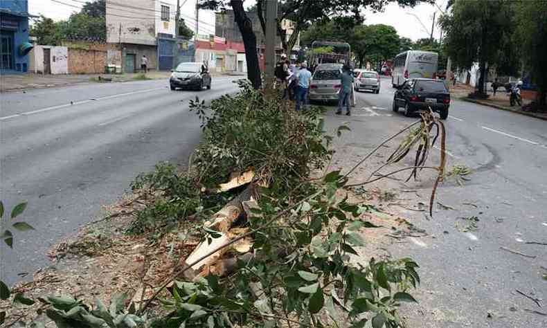 Uma rvore foi atingida e interditou parcialmente a via. Os galhos foram retirados pelos bombeiros(foto: Tlio Santos/EM/DA Press)