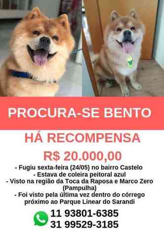 Cartaz fala da recompensa para quem achar o cachorro(foto: Vitor Primo/Divulgao)