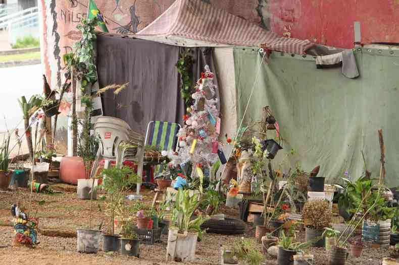 plantas em baixo do viaduto