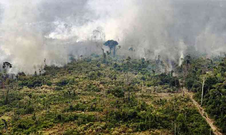 Mais da metade (52,6%) dos 80 mil incndios no Brasil em 2019 foram registrados na regio amaznica(foto: Carl de Souza/AFP)