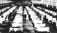 H1N1 pode ser descendente de vrus que causou pandemia de gripe em 1918