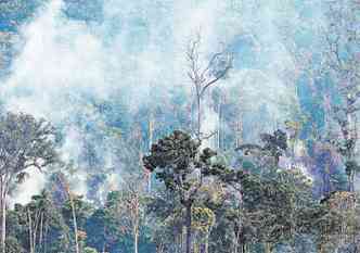 As queimadas so uma das principais responsveis pela liberao de CO2 na floresta(foto: RODRIGO BALEIA/GREENPEACE/DIVULGACO)