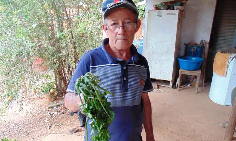 João Evangelista mostra as plantas castigadas pelo clima: 'Até cebolinha temos de comprar'(foto: Luiz Ribeiro/EM/D.a press) João Evangelista