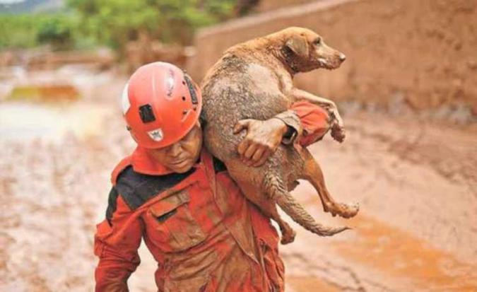 Imagem do resgate do cachorro da lama rodou o mundo (foto: AFP) Imagem do resgate do cachorro da lama rodou o mundo (foto: AFP)