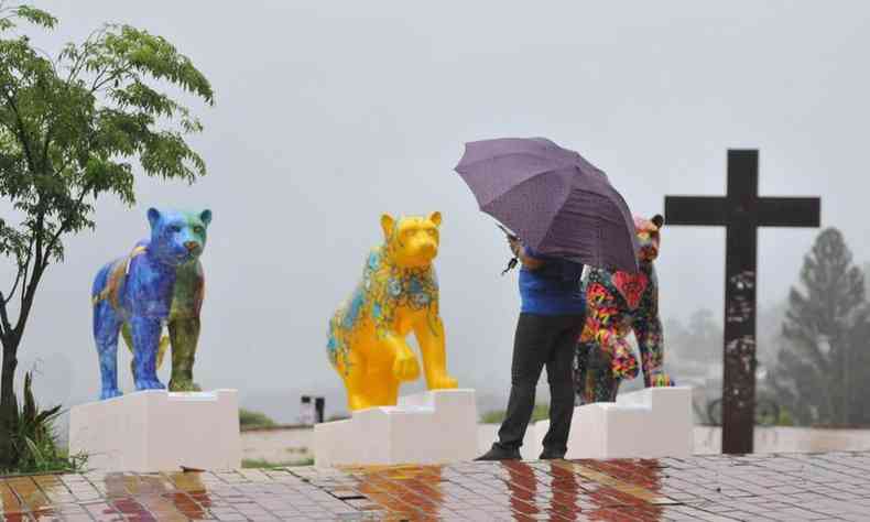 Homem com guarda-chuvas observa as onças-pintadas do Jaguar Parede na Praça do Papa