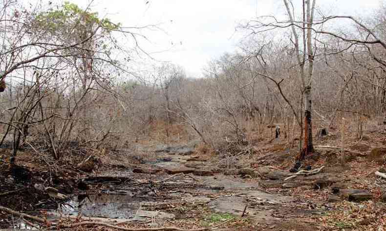 Crrego praticamente seco em Urucuia  exemplo dos efeitos do assoreamento das veredas. Guimares Rosa descreveu a regio como uma rea de sucessivos brejos(foto: Solon Queiroz/EM/D.A PRESS)