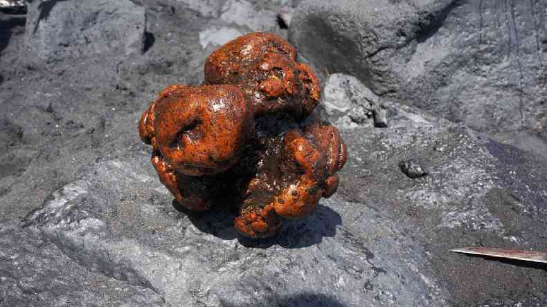A pedra encontrada no intestino de um cachalote em La Palma