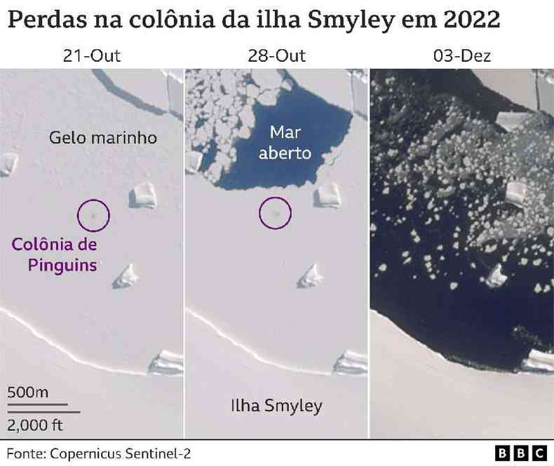 Imagens de satlite mostram perdas na colnia de pinguins da ilha Smyley