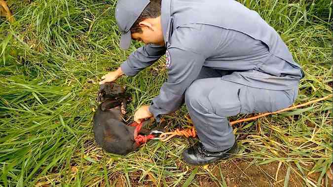 Eles foram encontrados depois de ficarem dois dias desaparecidosCorpo de Bombeiros/Divulgao