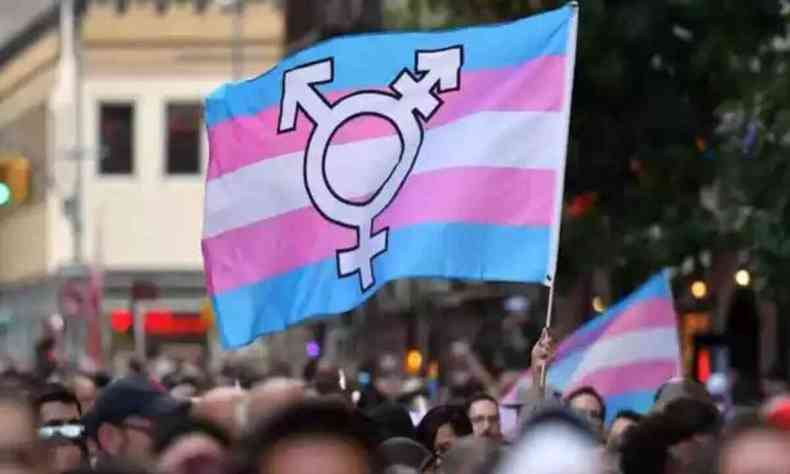 Bandeira no centro da imagem, mais ao topo, que representa as pessoas transexuais 