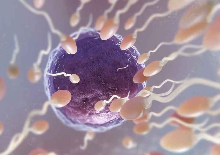 Foto conceito de fertilidade em renderizao 3D