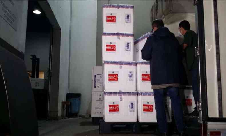 Mais de 360 mil doses da Pfizer j foram distribudas em Minas Gerais(foto: Marcos Vieira/EM/D.A Press)