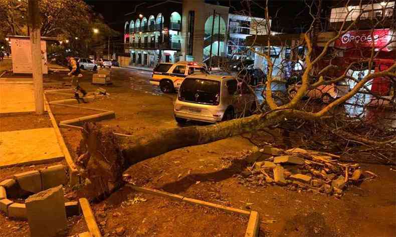 rvore caiu e atingiu um carro na Avenida Mariza de Souza Mendes, uma das principais de Ouro Branco(foto: Reproduo da internet/WhatsApp)