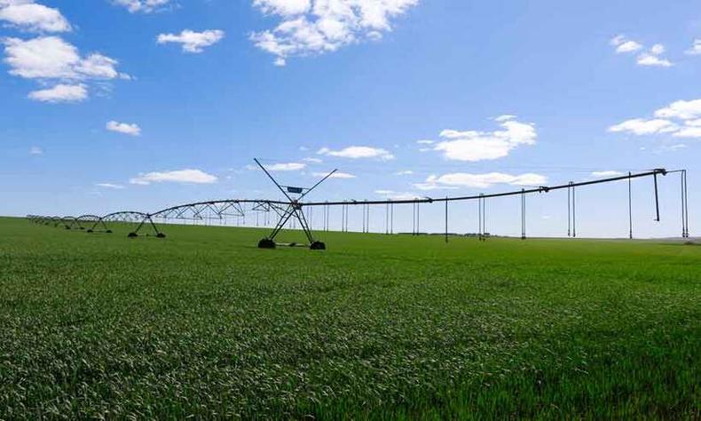 Bom desempenho do agronegócio de Minas no ano passado reforça justificativa para projeto de logística para escoamento de grãos(foto: Faemg/Divulgação - 19/10/19) Bom desempenho do agronegócio de Minas no ano passado reforça justificativa para projeto de logística para escoamento de grãos(foto: Faemg/Divulgação - 19/10/19)