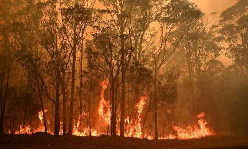 Incndios em andamento na Austrlia tiveram terreno adequado para se espalhar devido  seca e temperaturas excepcionais(foto: PETER PARKS / AFP )