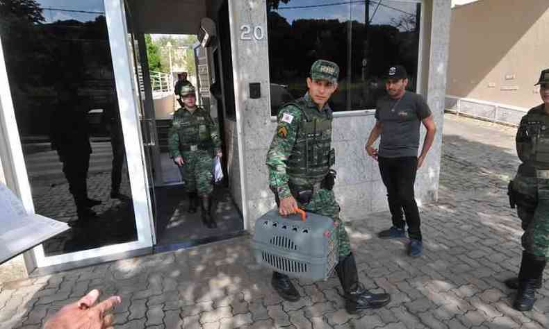 O sargento Reginaldo saiu do residencial com o macaco dentro de uma jaula de proteo