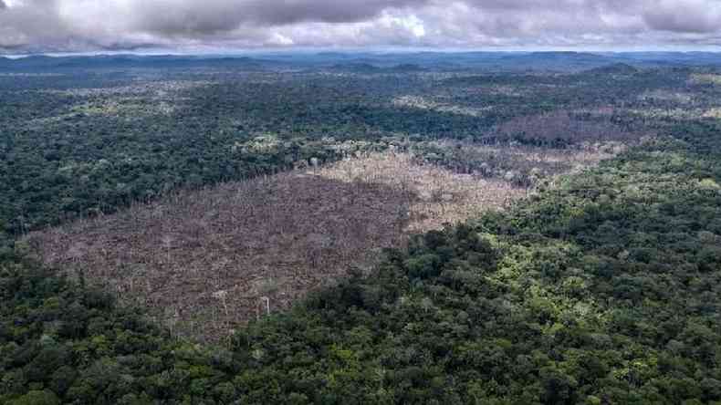 Desmatamento da Amazônia (acima, em foto de julho da ONG WWF) é um dos mais temidos gatilhos para novas pandemias no futuro(foto: PA Media)
