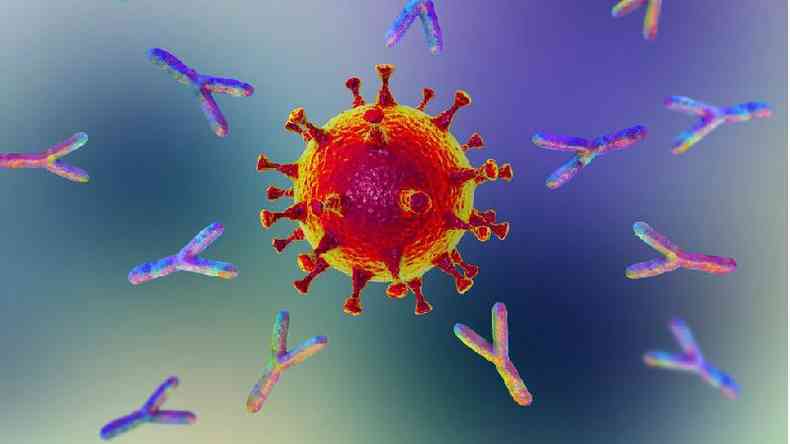 Autoanticorpos atacam vrias vias do sistema imunolgico, de acordo com pesquisadores de Yale