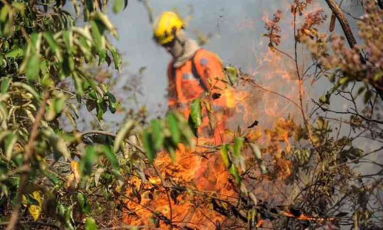 Combate ao incndio em vegetao da Serra do Cip, na tarde desta tera-feira (foto: Leandro Couri/EM/DA Press)