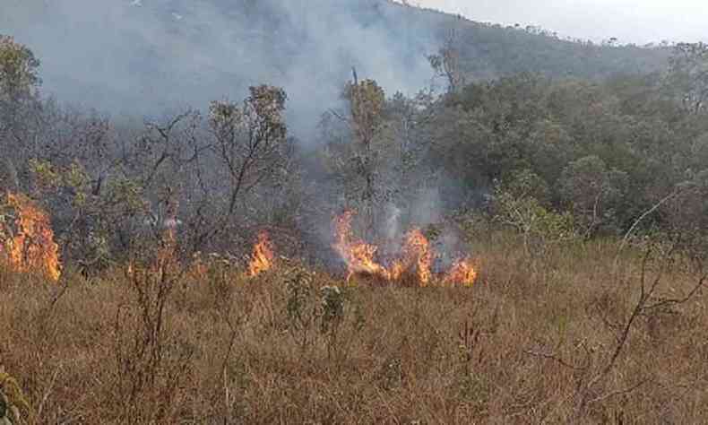 Pelo segundo dia consecutivo, o fogo consome a mata preservada da Serra do Gandarela