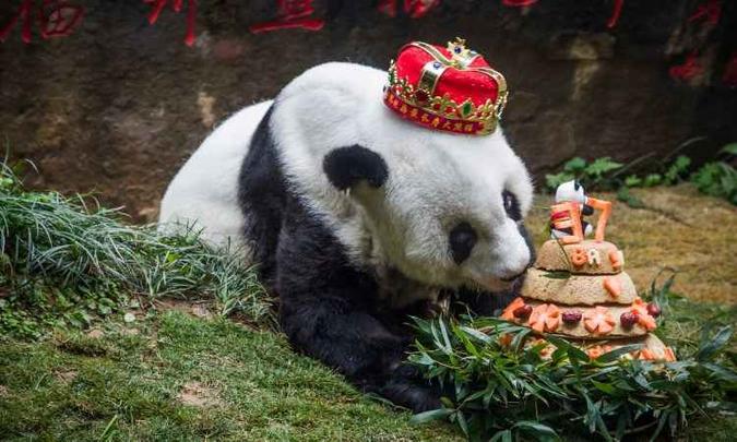 (foto: STR / AFP) (foto: STR / AFP)