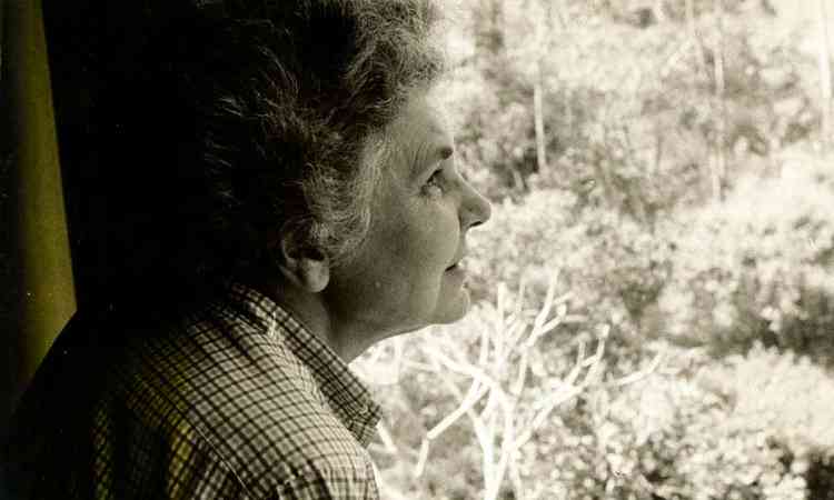Elizabeth Bishop observa bosque pela janela de casa
