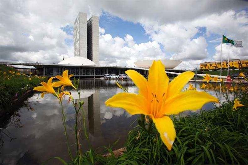 (foto: Andr� Correa/Senado Federal)