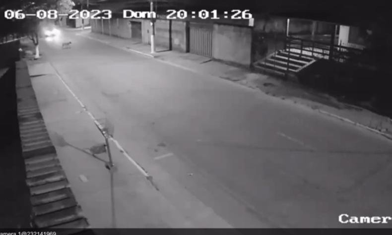 Imagem de c�mera de seguran�a mostra momento em que c�o atravessa a rua