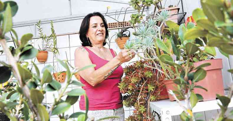 A aposentada Tânia Mara Sarsur Lisboa cultiva diferentes espécies de plantas em seu apartamento