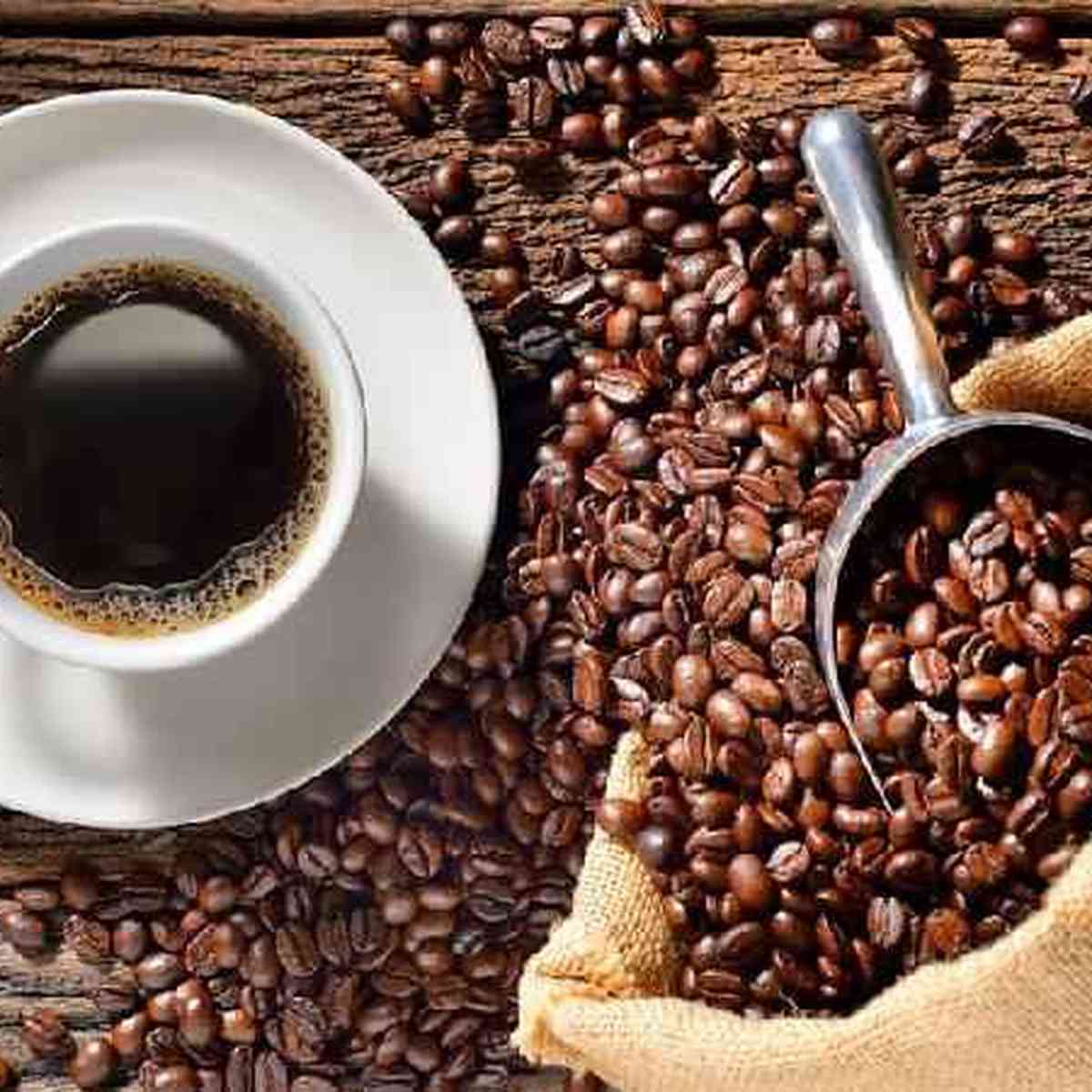 Conheça algumas diferenças dos principais cafés que consumimos