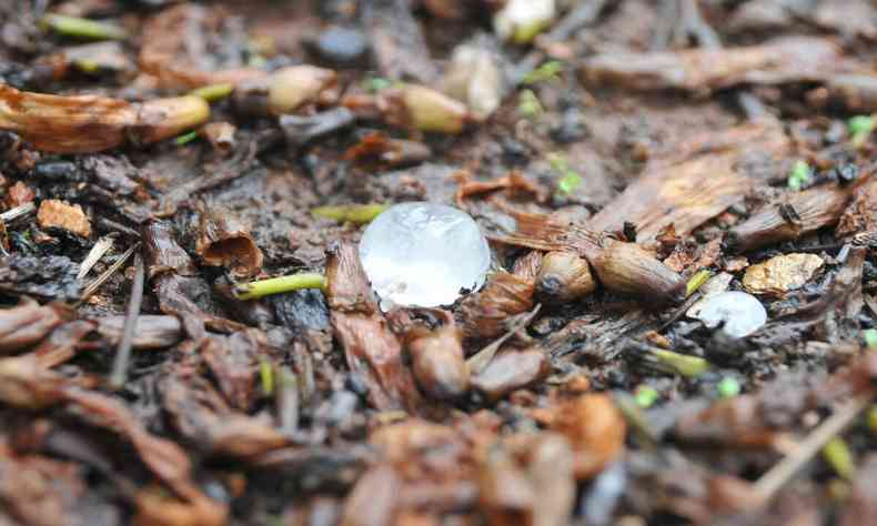 Imagem de uma pedra de gelo advinda da chuva