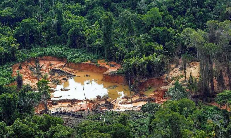 rea de garimpo na regio do Uxiu, em Roraima 