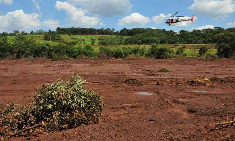 Presidente do Comit da Bacia Hidrogrfica do Rio Paraopeba diz que danos ambientais so imensurveis(foto: Gladyston Rodrigues/EM/D.A Press)
