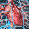 Cuidados com o sistema vascular no inverno