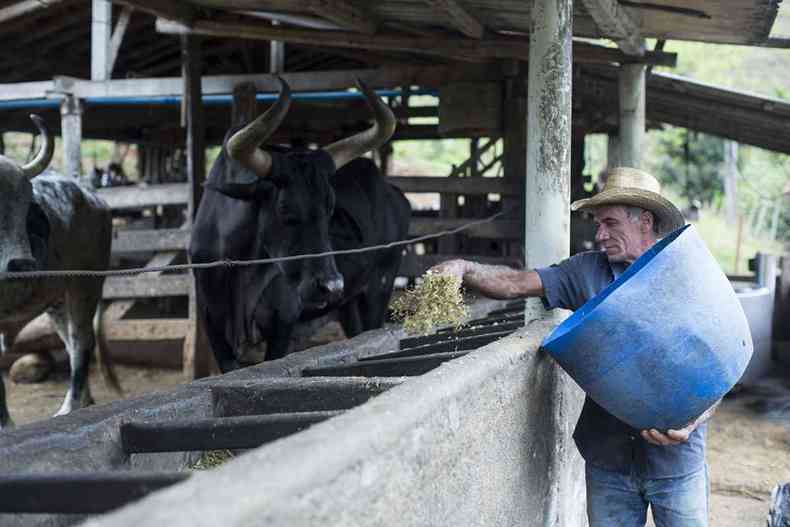 Produtor rural durante distribuio da silagem para alimentao do gado (foto: Fundao Renova)