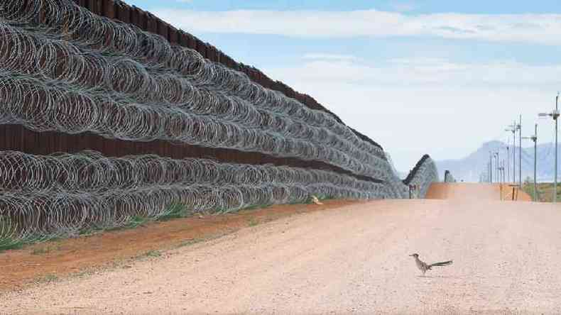 Alejandro Prieto documentou a vida selvagem e os ecossistemas da fronteira sul dos Estados Unidos(foto: Alejandro Prieto / Bird Photographer of the Year)