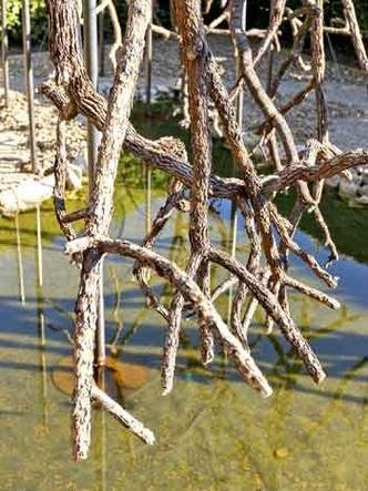 Detalhe do projeto realizado para o festival