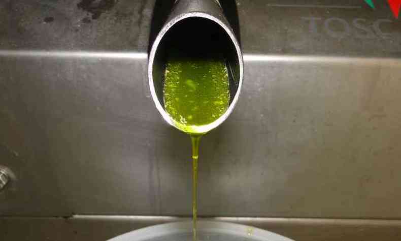 Experincia pioneira de extrao pelo sistema de centrifugao mostra possibilidades de obteno do composto de abacate e azeite de oliva(foto: Adelson de Oliveira/Divulgao)