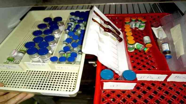 Ao todo, 627 doses de vrias vacinas foram perdidas(foto: Prefeitura de Bueno Brando/Divulgao)