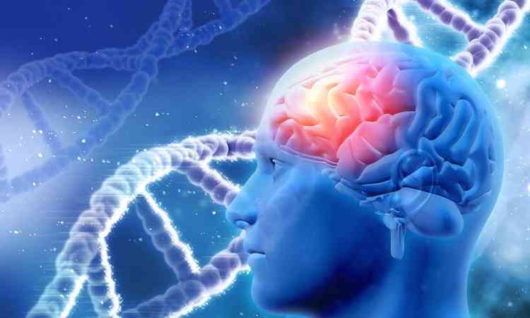 ilustrao do crebro sobreposto ao DNA